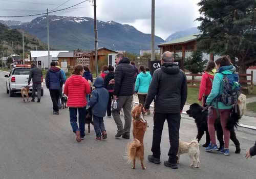 caminata-perros-imagen-1