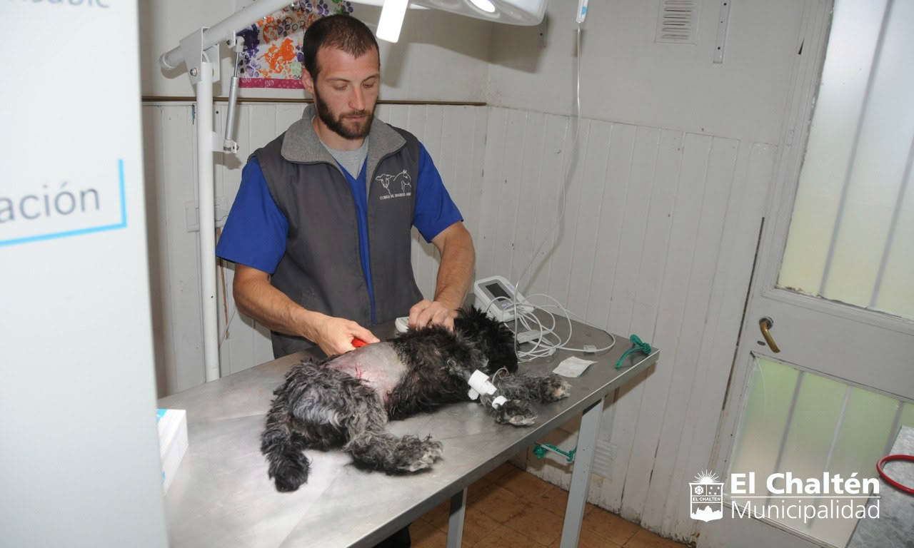 MECH - esterilizacion 1