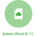 Boletin-oficial-numero-11