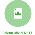 Boletin-oficial-numero-13